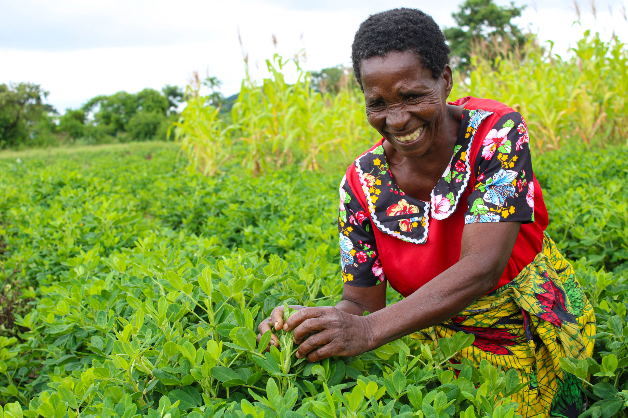 IMG_3071 about_images