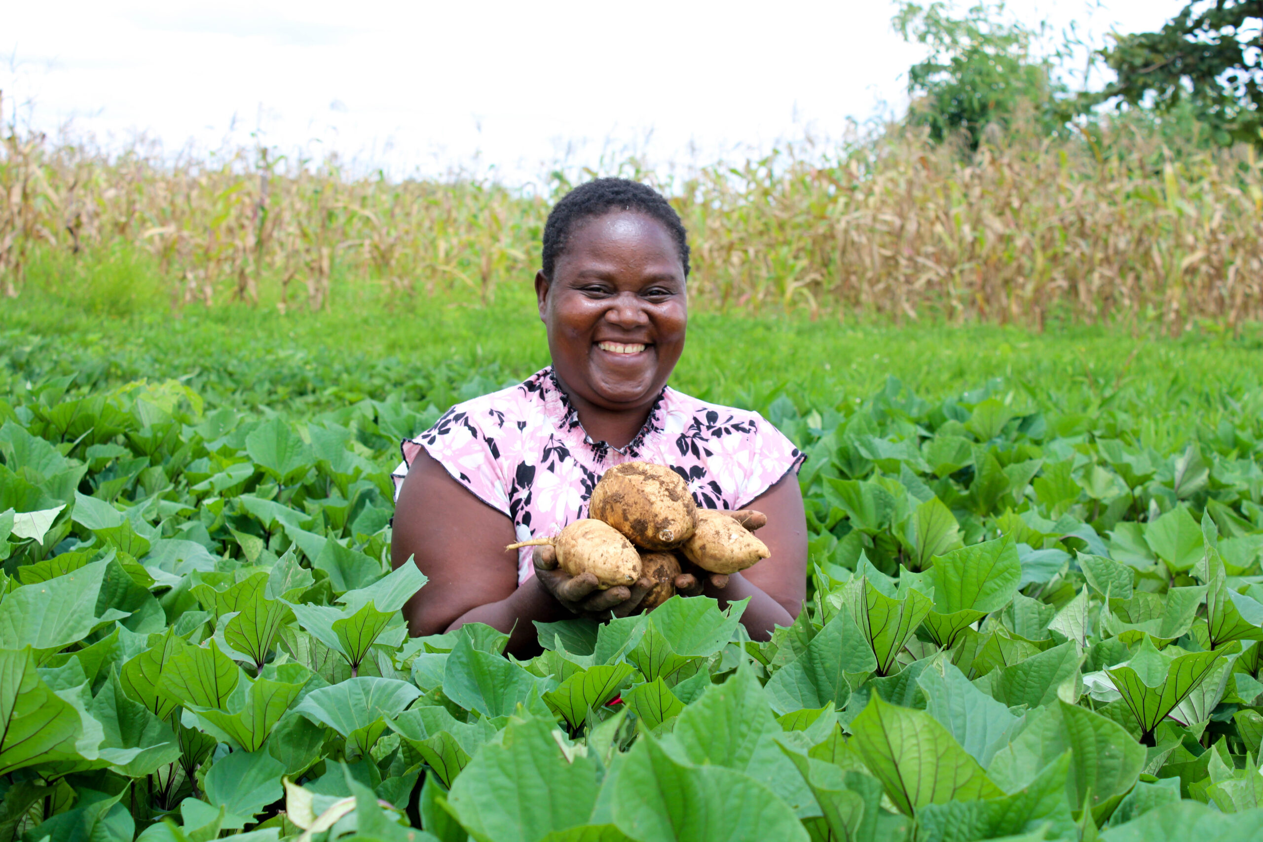 IMG_6163 legumes_img_01